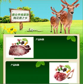 微门户个性化风格